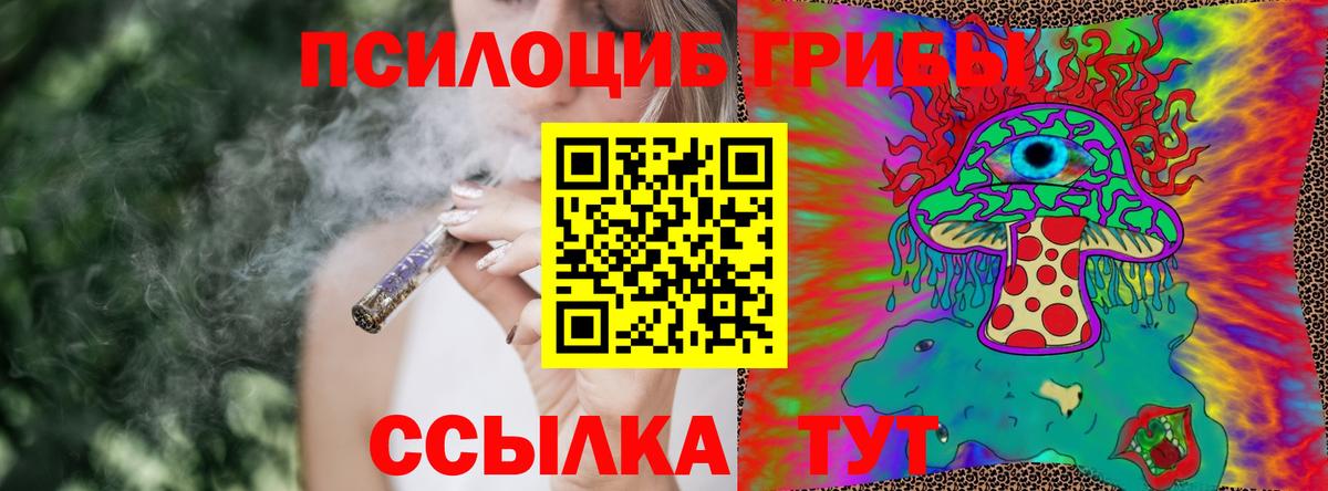 Галлюциногенные грибы мухоморы  Вход с VPN  Ртищево 